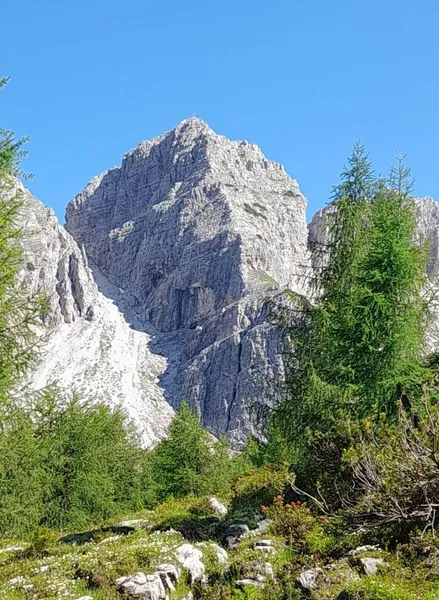 Cima Borcola