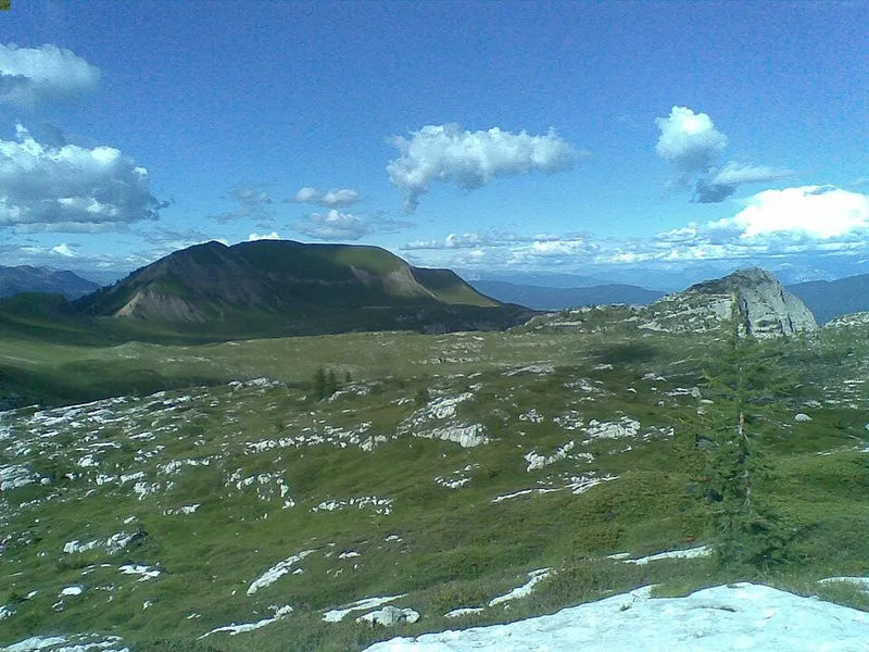 Monte Peller