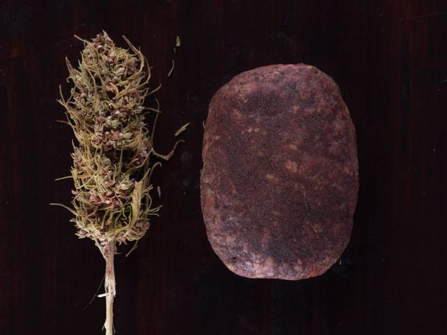 Canapela - mortandela alla canapa