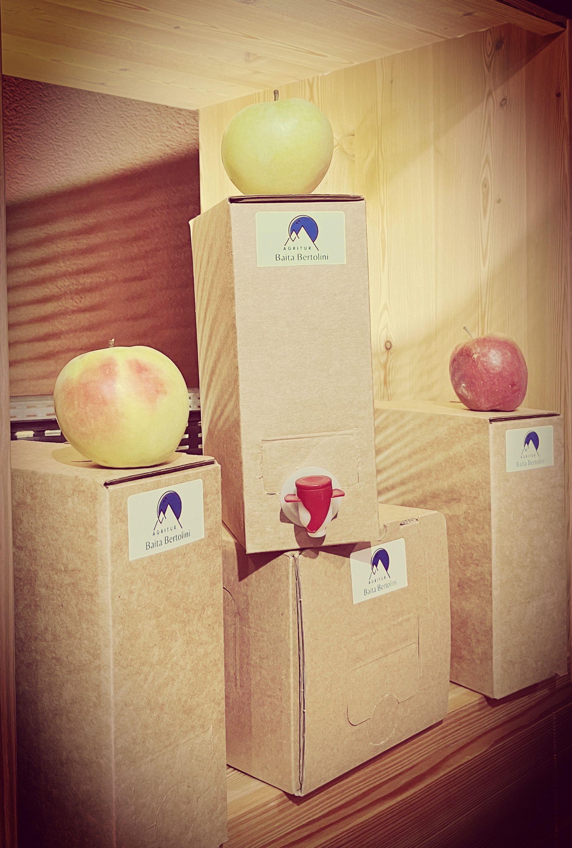 bag in box da 3 litri di succo di mela