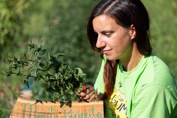 Azienda Agricola Grum, Foto 3