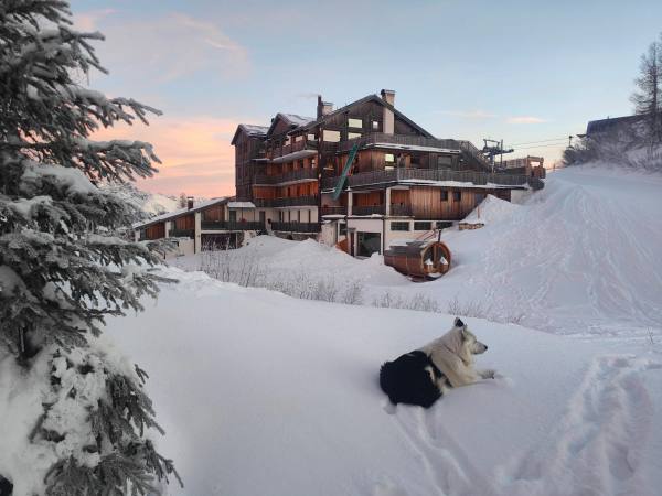 Rifugio Orso Bruno, foto 6