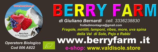 Berry Farm di Bernardi Giuliano, foto 2
